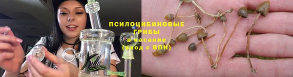 apvp Богородицк