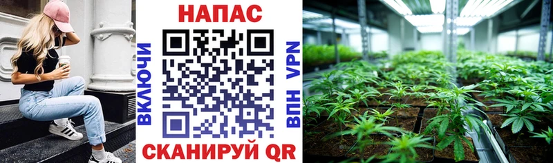 Бошки Шишки THC 21%  Кириллов 